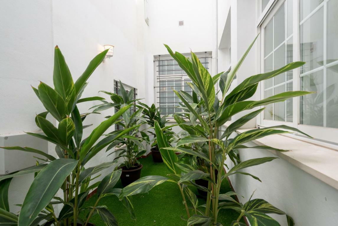 Ml1C-Prime Location Marble Apartment With Patios 말라가 외부 사진